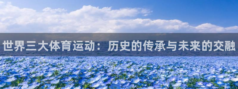 3377体育官网下载招商电话号码查询是多少:世界三大体育运动