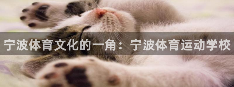3377体育官网下载平台假的吗是真的吗吗:宁波体育文化的一角