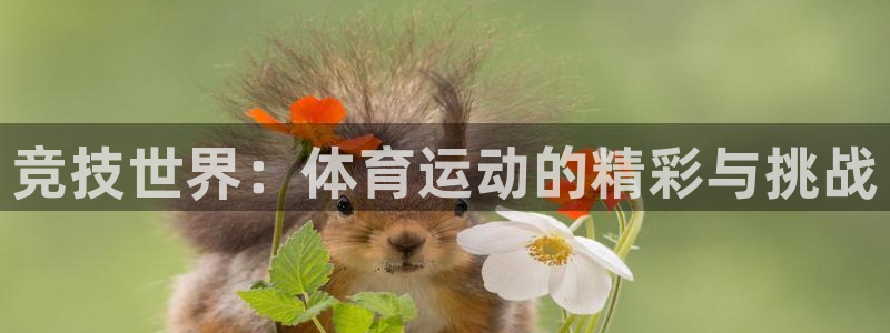 注册3377体育官方正版app:竞技世界:体育运动的精彩与挑