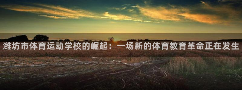 3377体育官网下载招商电话地址:潍坊市体育运动学校的崛起: