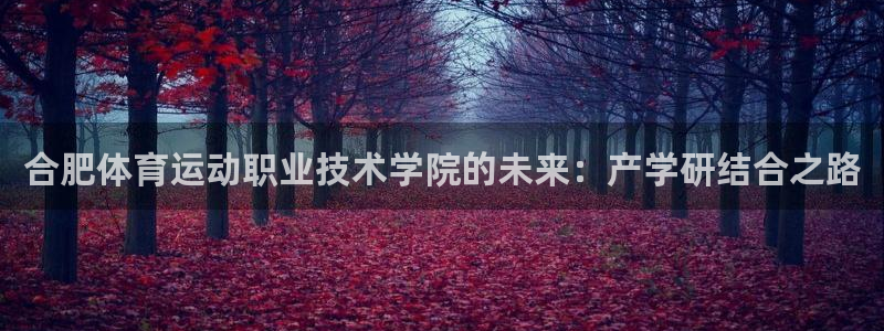 3377体育官方正版app神州:合肥体育运动职业技术学院的未