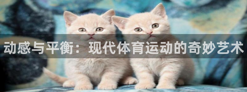 海南3377体育官网下载发展怎么样:动感与平衡:现代体育运动